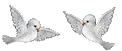 bird009.gif